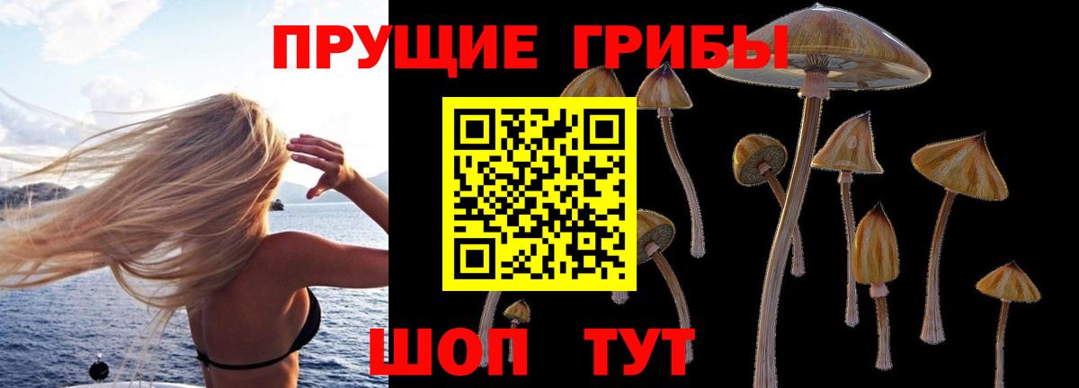 Галлюциногенные грибы MAGIC MUSHROOMS Сергиев Посад